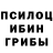 Псилоцибиновые грибы GOLDEN TEACHER The_Papo