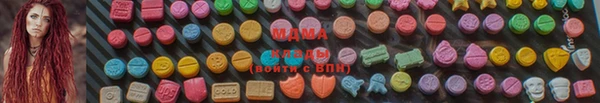 мдпв Белокуриха