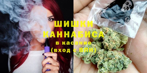 мдпв Белокуриха